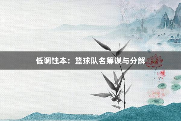 低调蚀本：篮球队名筹谋与分解